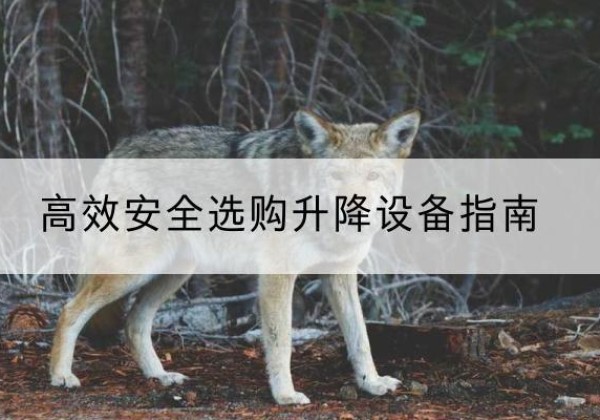 江都升降货梯厂家推荐-*安全选购升降设备指南