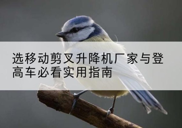 江都电动升降机厂家-选移动剪叉升降机厂家与登高车必看实用指南