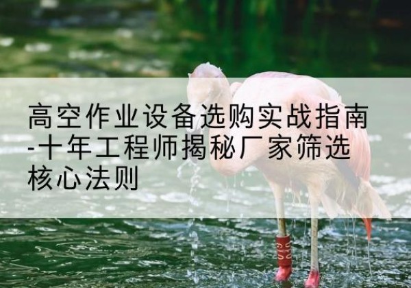 江都剪叉式升降机厂家-高空作业设备选购实战指南-十年工程师揭秘厂家筛选核心法则